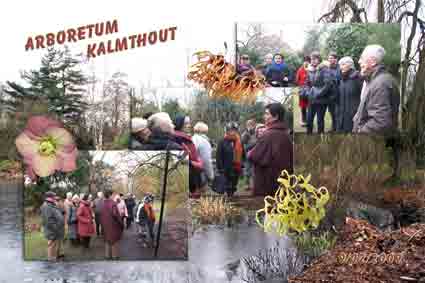 Bezoek aan Arboretum Kalmthout