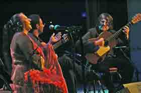 Flamenco concert-Amparo Cortes-Wannes Van de Velde